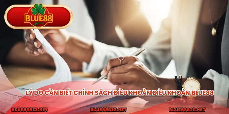 Lý do cần biết chính sách điều khoản điều khoản BLUE88