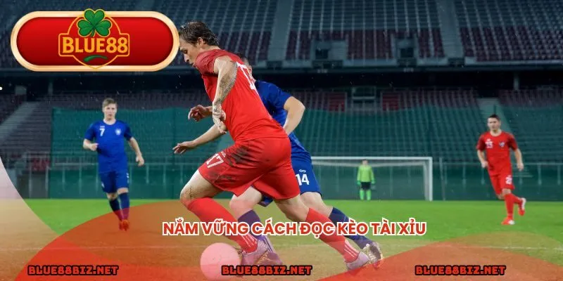 Nắm vững cách đọc kèo tài xỉu