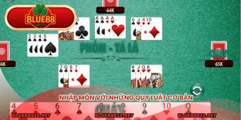 Nhập môn với những quy luật cơ bản