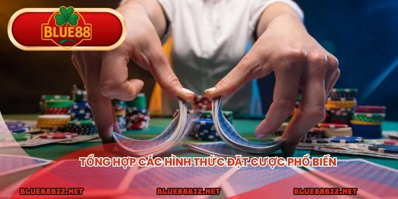 Tổng hợp các hình thức đặt cược phổ biến