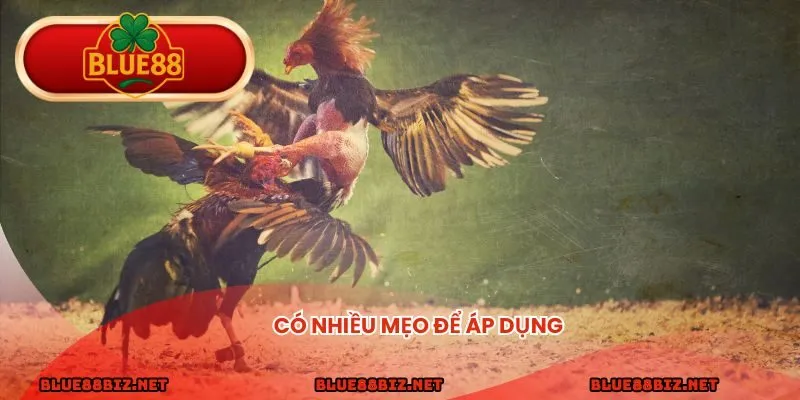 Có nhiều mẹo để áp dụng